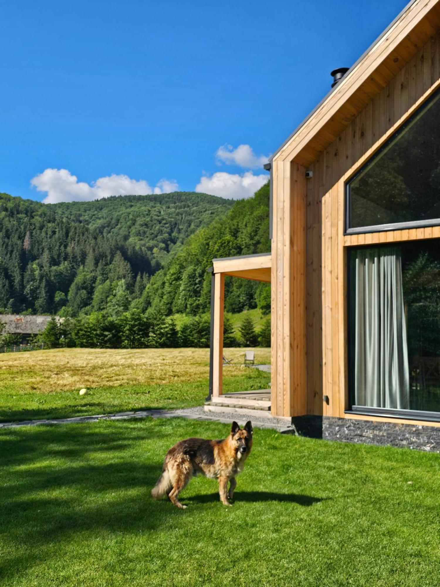 Vama Chalet Vama Buzăului Exteriér fotografie