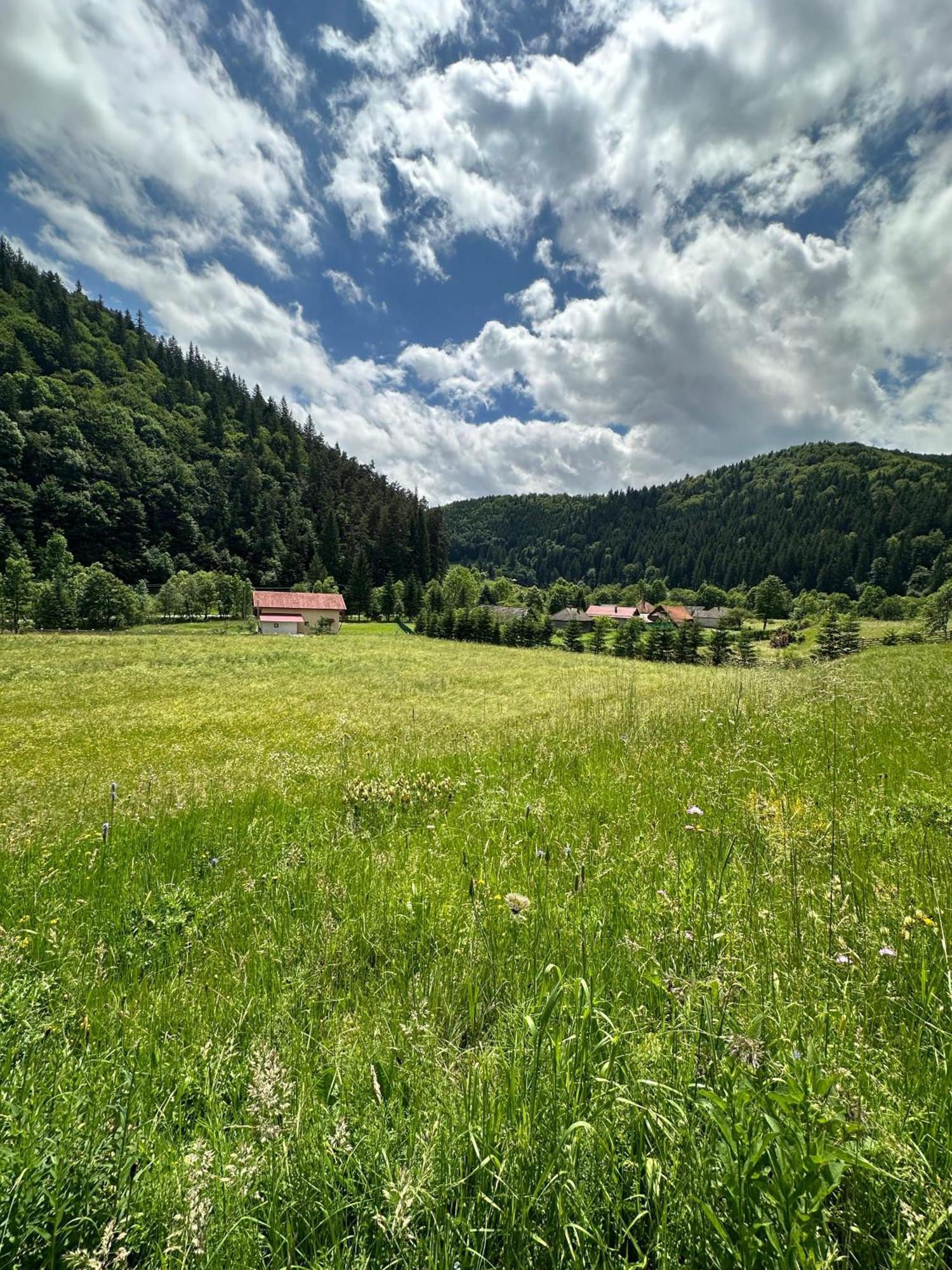 Vama Chalet Vama Buzăului Exteriér fotografie