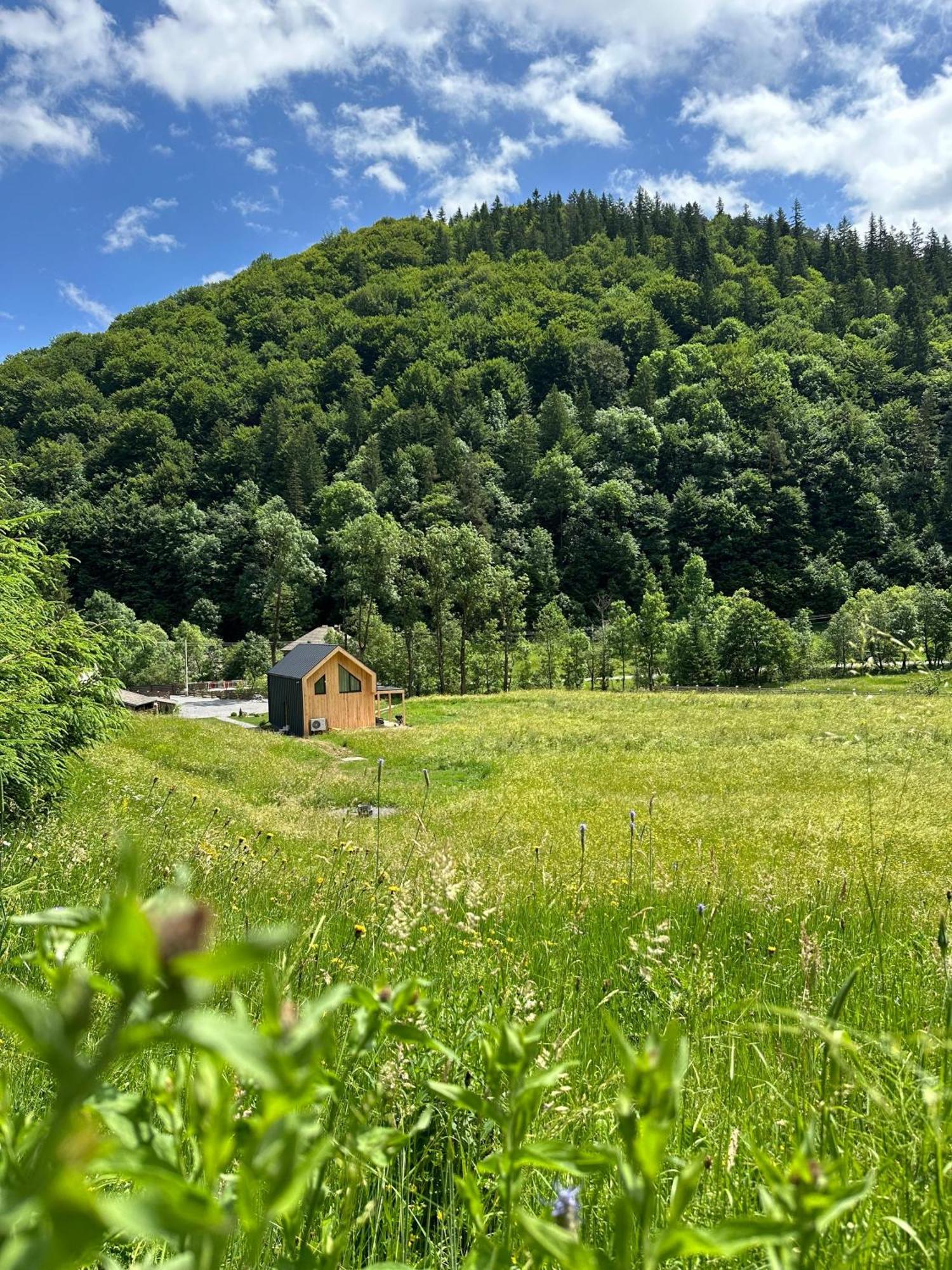 Vama Chalet Vama Buzăului Exteriér fotografie